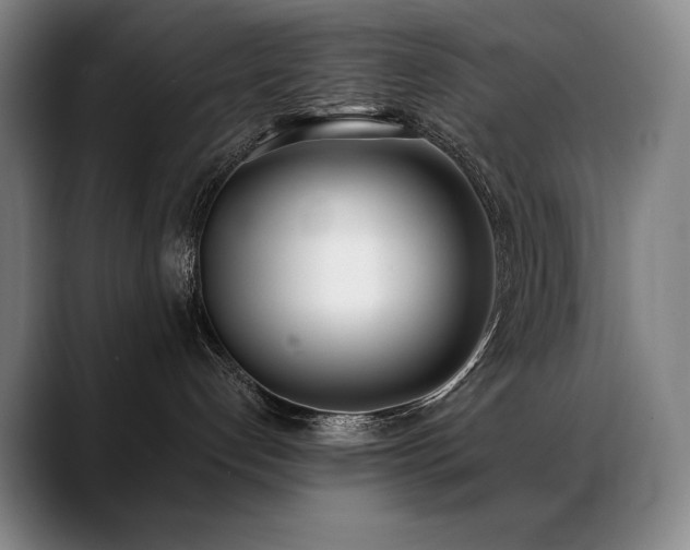 X0000089420192200706151257