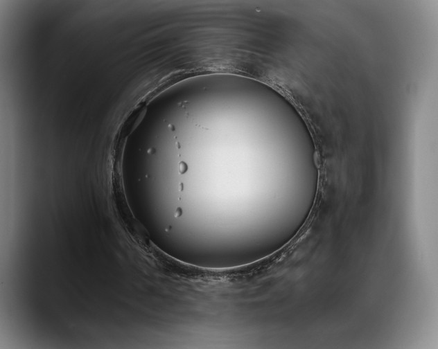 X0000089420194200706151257