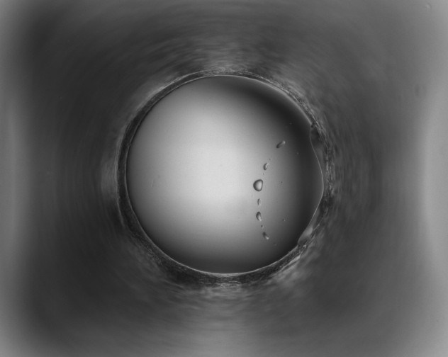 X0000089420196200706151256