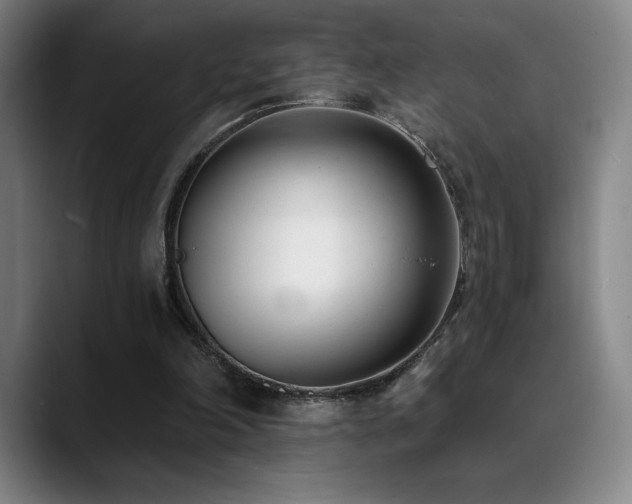 X0000089420198200706151256