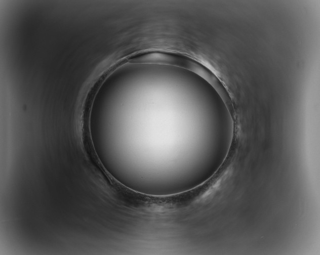 X0000089420199200706151256