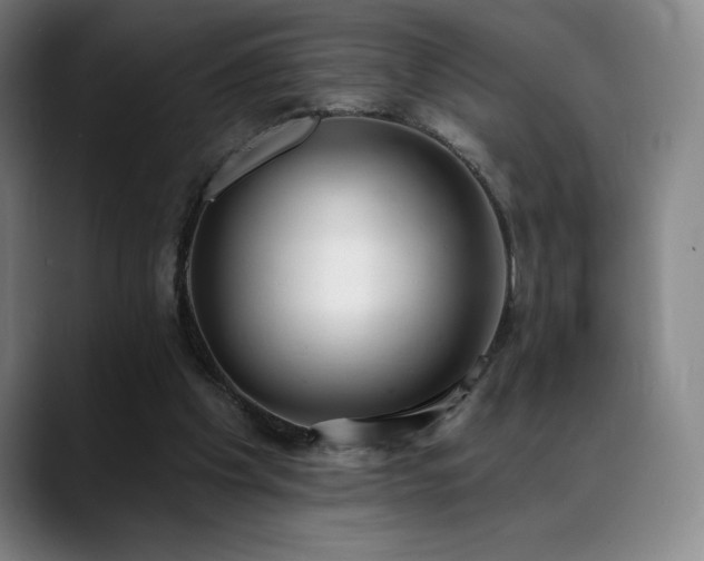 X0000089420201200706151256