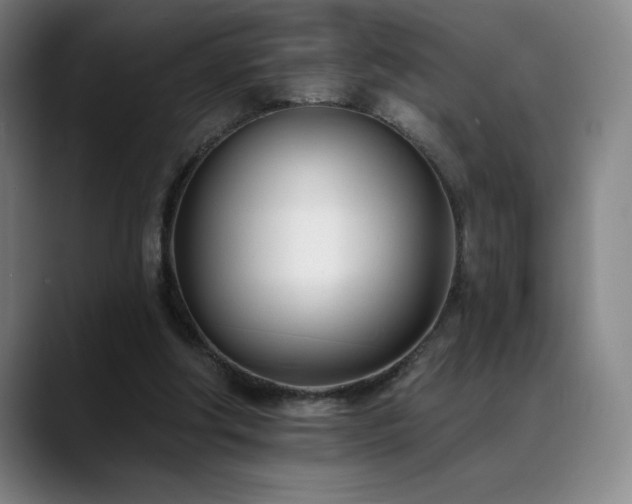 X0000089420202200706151256