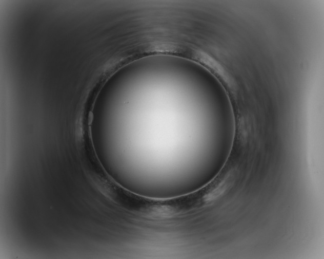 X0000089420203200706151256