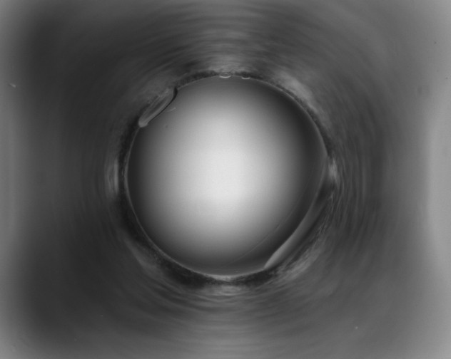X0000089420205200706151256