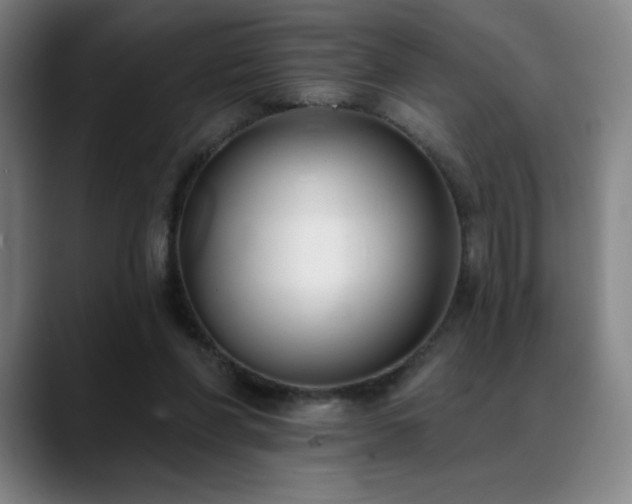 X0000089420206200706151256
