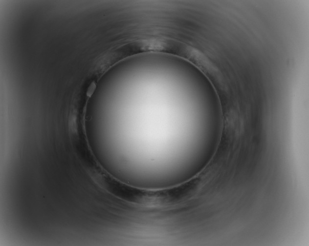 X0000089420209200706151256