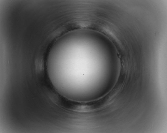 X0000089420212200706151256