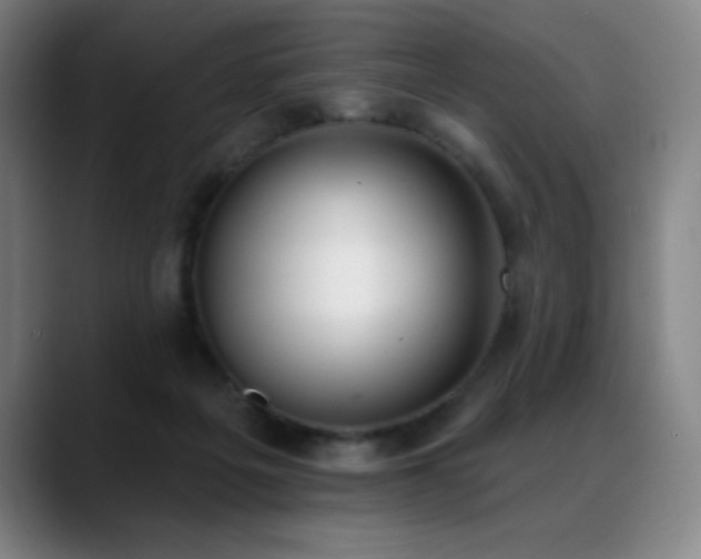 X0000089420217200706151256