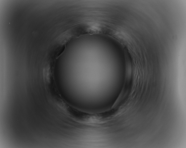 X0000089420223200706151256