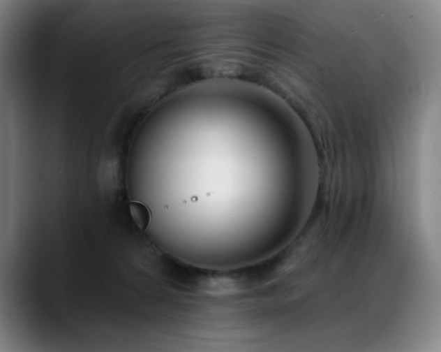 X0000089420224200706151256
