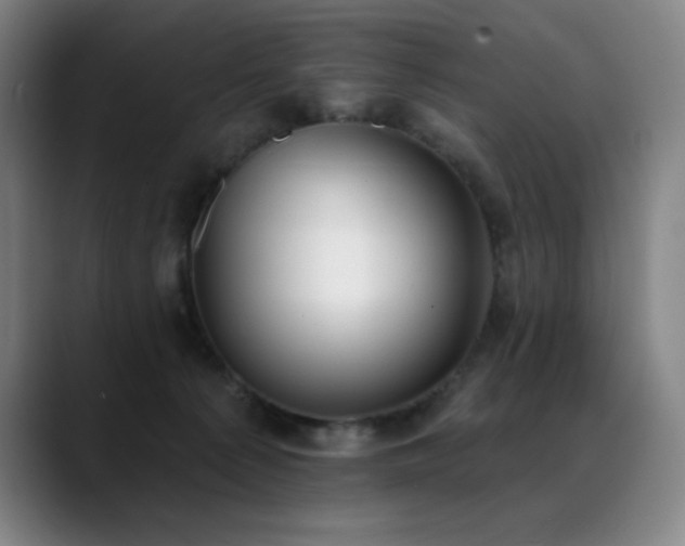 X0000089420225200706151256