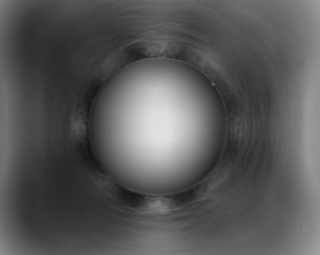 X0000089420226200706151256