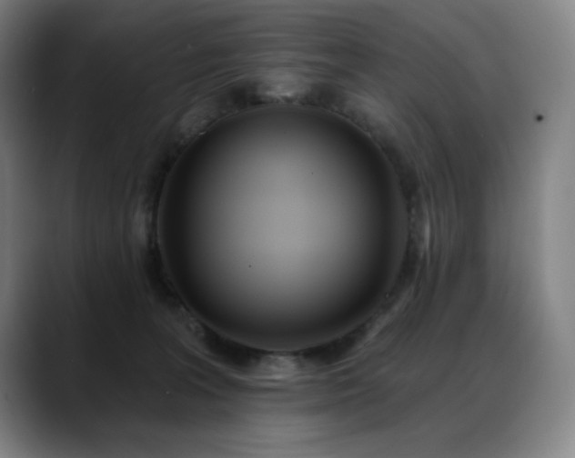X0000089420227200706151256