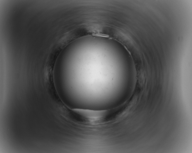 X0000089420229200706151256