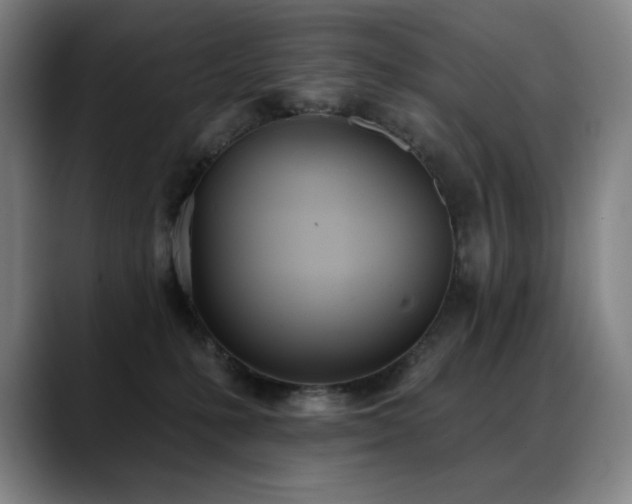 X0000089420231200706151256