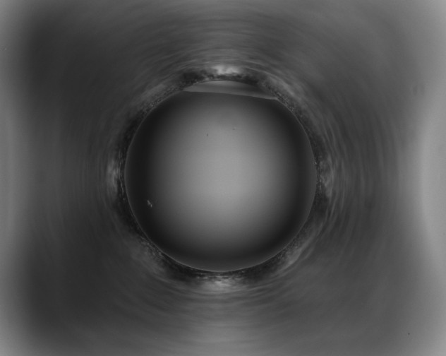 X0000089420235200706151256