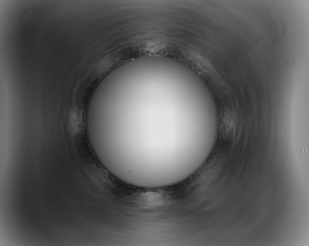 X0000089420236200706151256