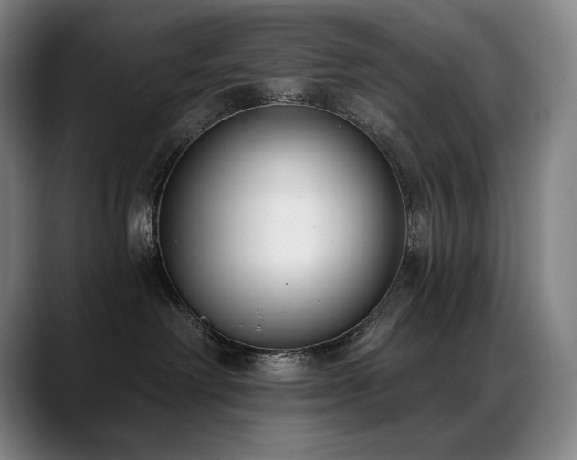 X0000089420238200706151256