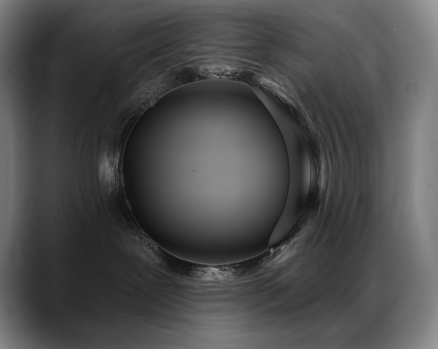 X0000089420239200706151256
