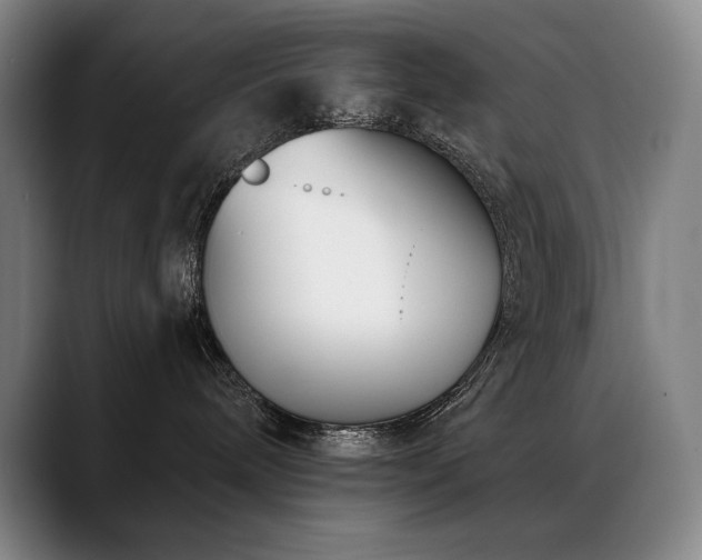 X0000089420240200706151256