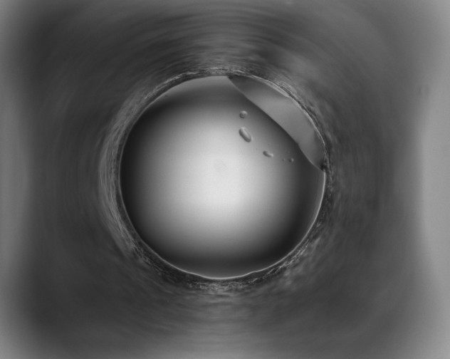 X0000089420241200706151255