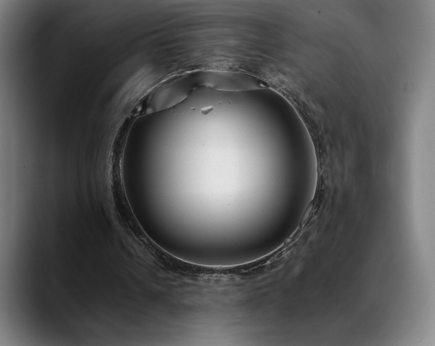 X0000089420242200706151255