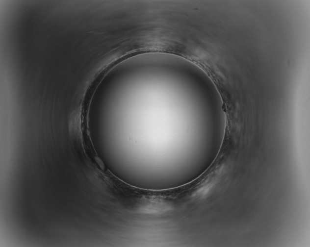 X0000089420244200706151255