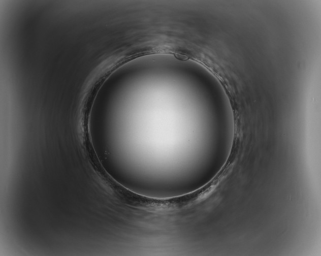 X0000089420245200706151255