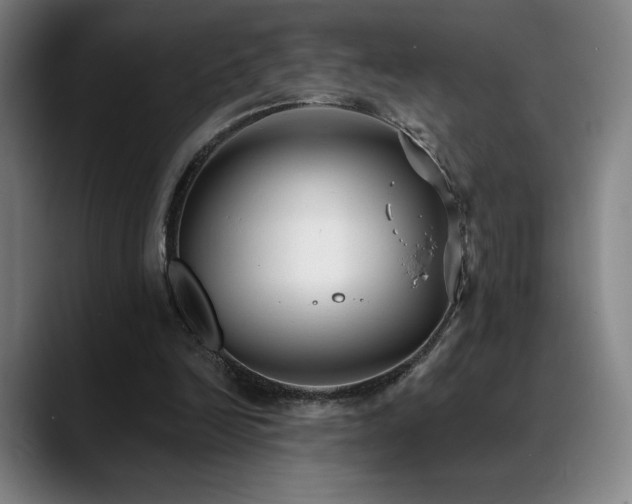 X0000089420246200706151255