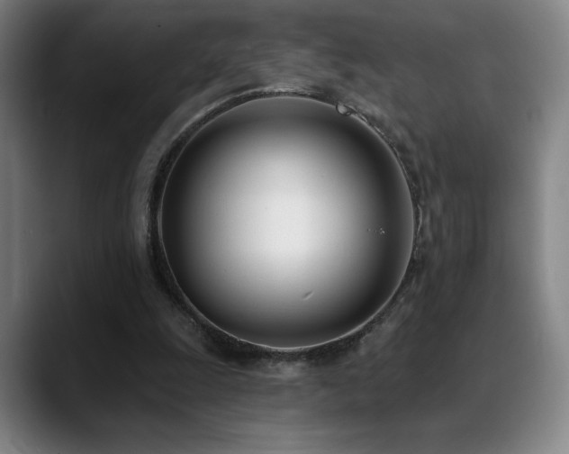 X0000089420247200706151255