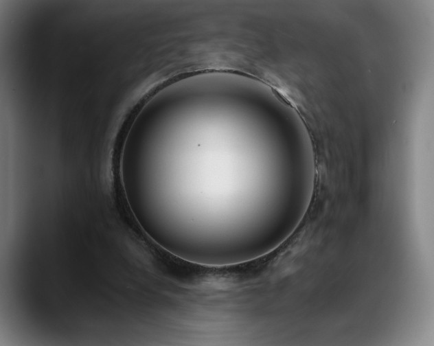 X0000089420248200706151256