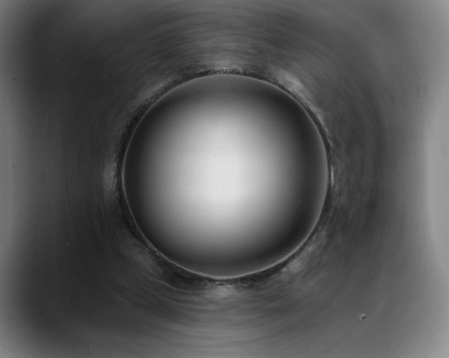 X0000089420249200706151256