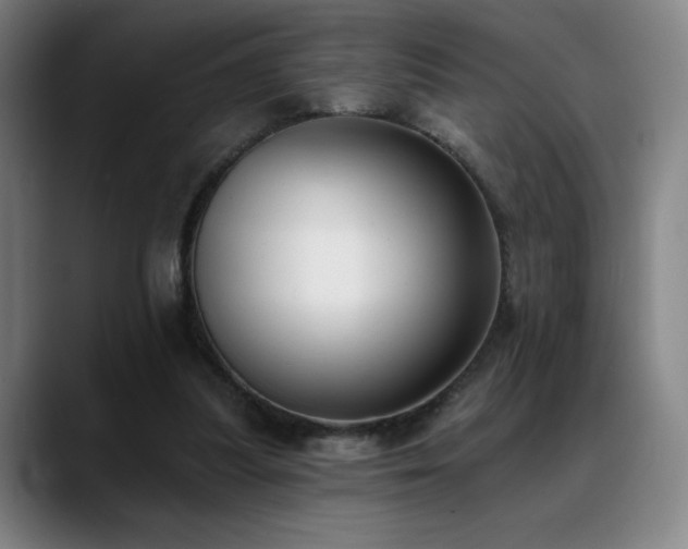 X0000089420251200706151256