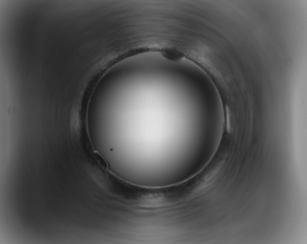 X0000089420252200706151256