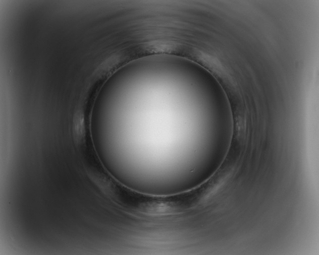 X0000089420254200706151256