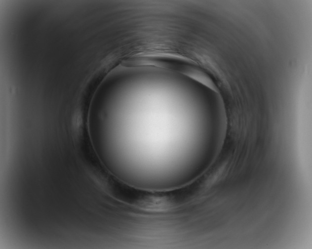 X0000089420260200706151256