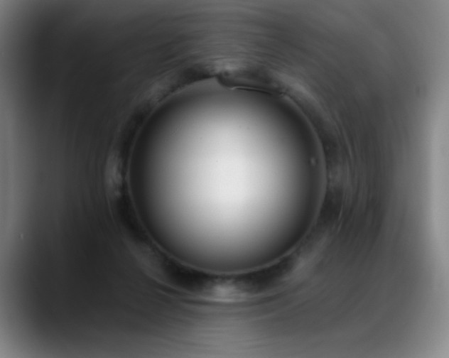 X0000089420264200706151256