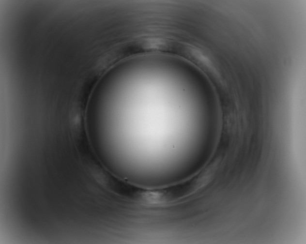 X0000089420265200706151256