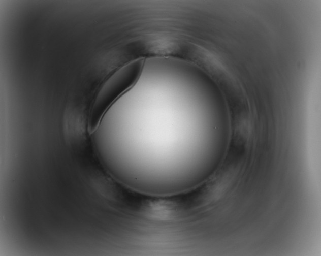 X0000089420268200706151256