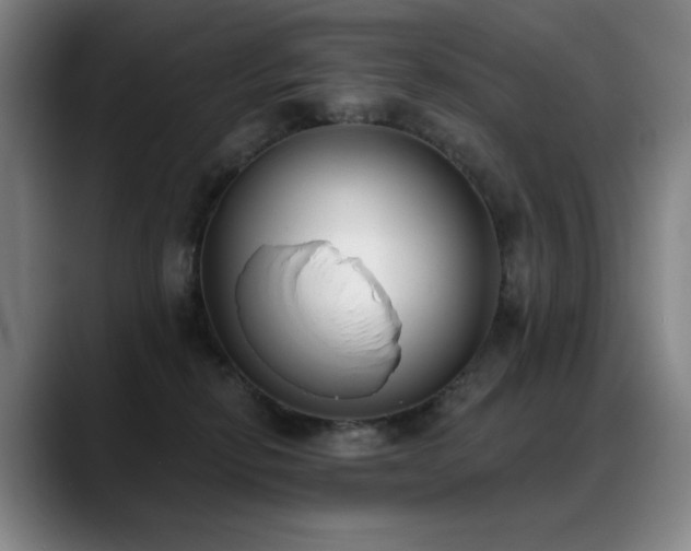 X0000089420278200706151256