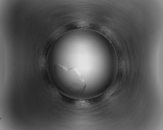 X0000089420281200706151256