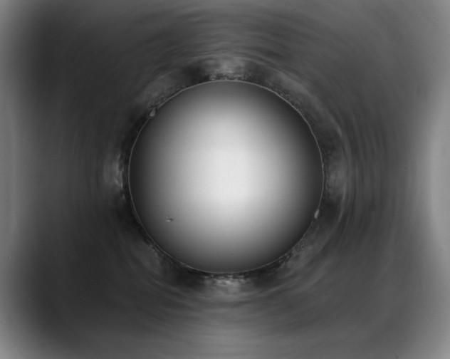 X0000089420282200706151256