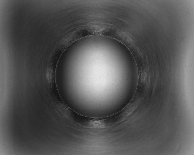 X0000089420283200706151256
