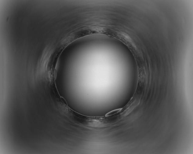 X0000089420285200706151256