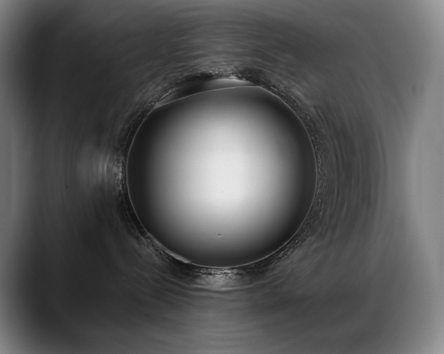 X0000089420288200706151256