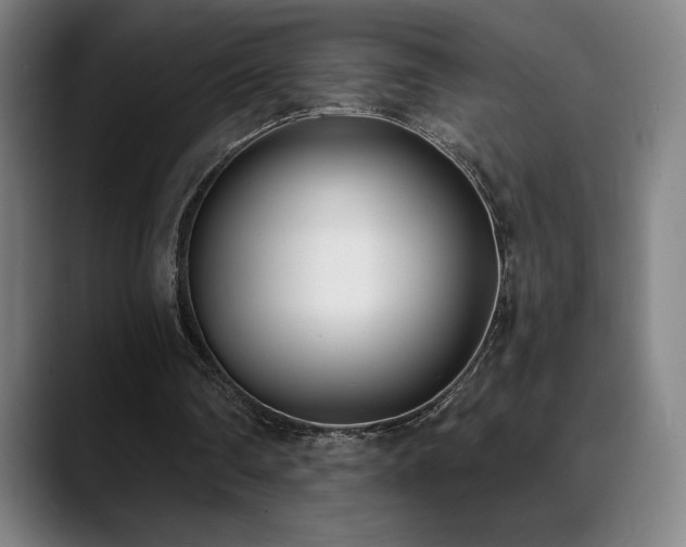 X0000089420290200706151255
