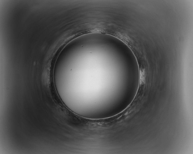 X0000089420291200706151255