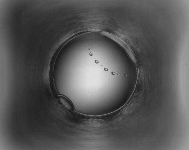 X0000089420292200706151255