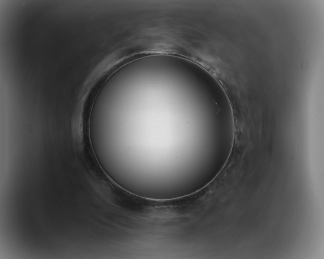 X0000089420296200706151255